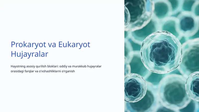 Prokaryot va Eukaryot Hujayralar