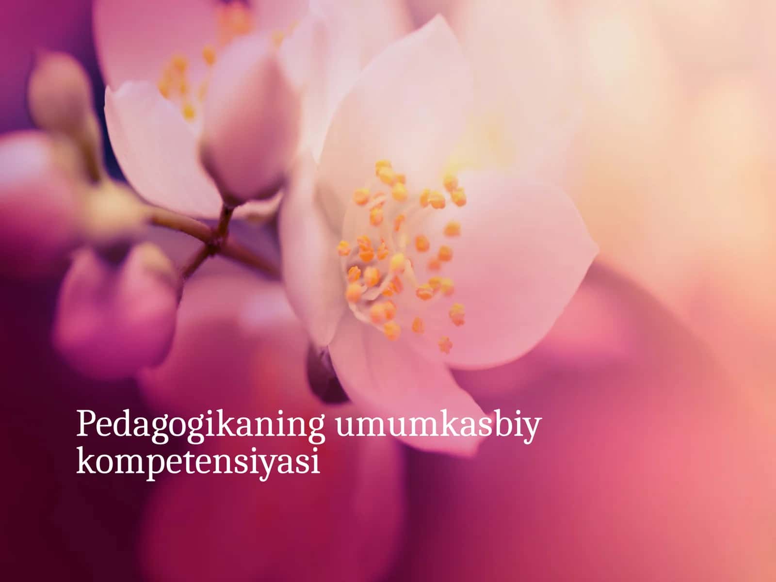 Pedagogikaning umumiy kasbiy kompetensiyasi