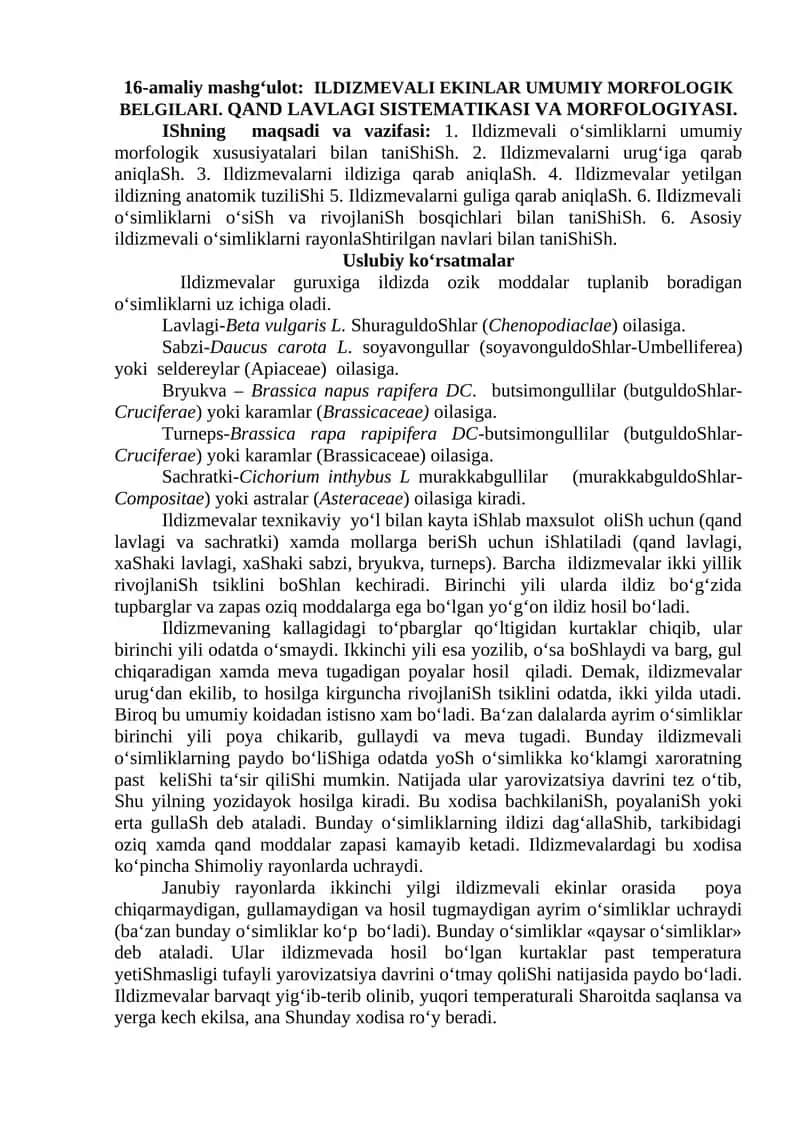 Ildizmevali ekinlar umumiy morfologik belgilari