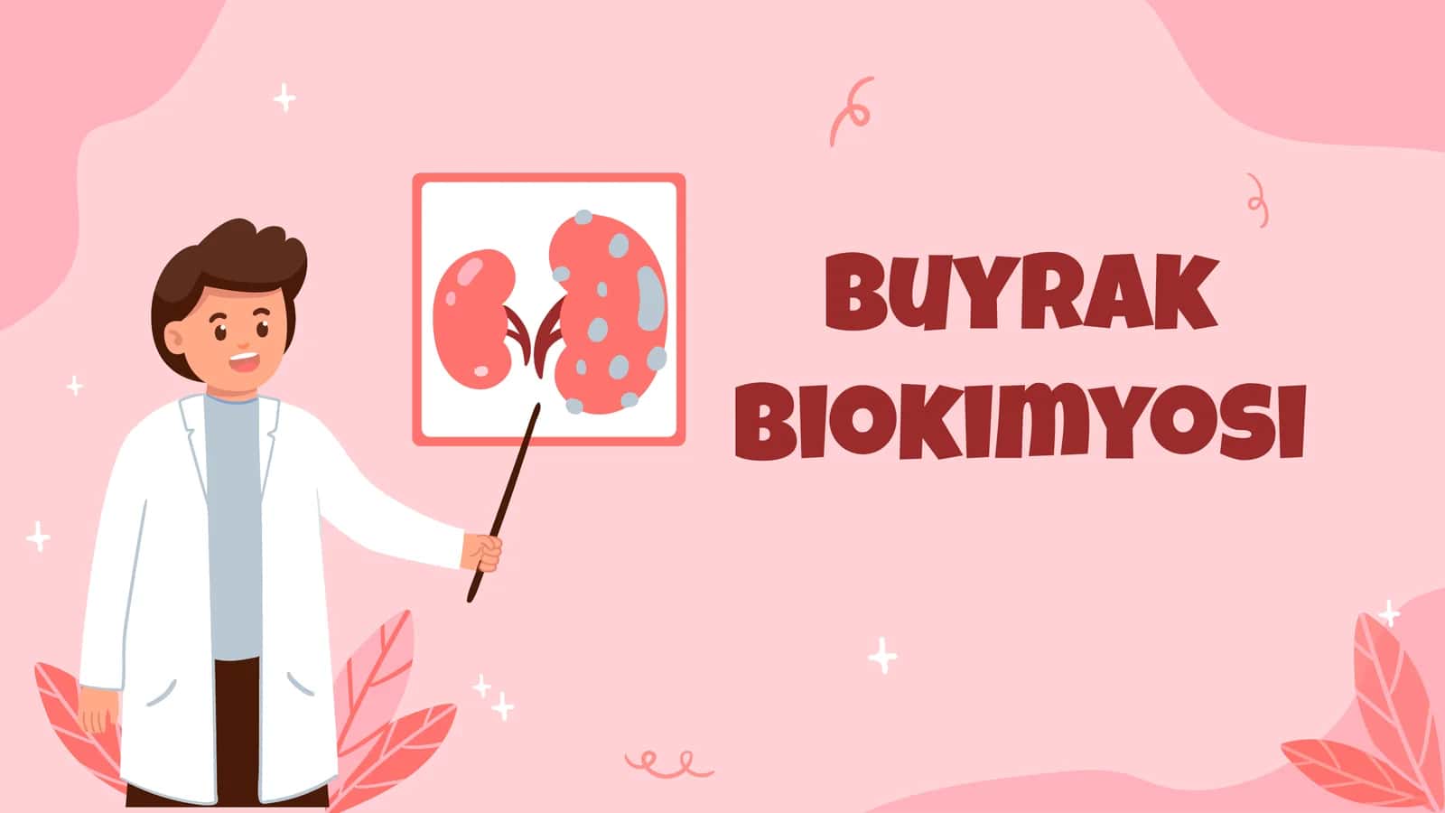 Buyrak biokimyosi (siydik hosil boʻlishi)