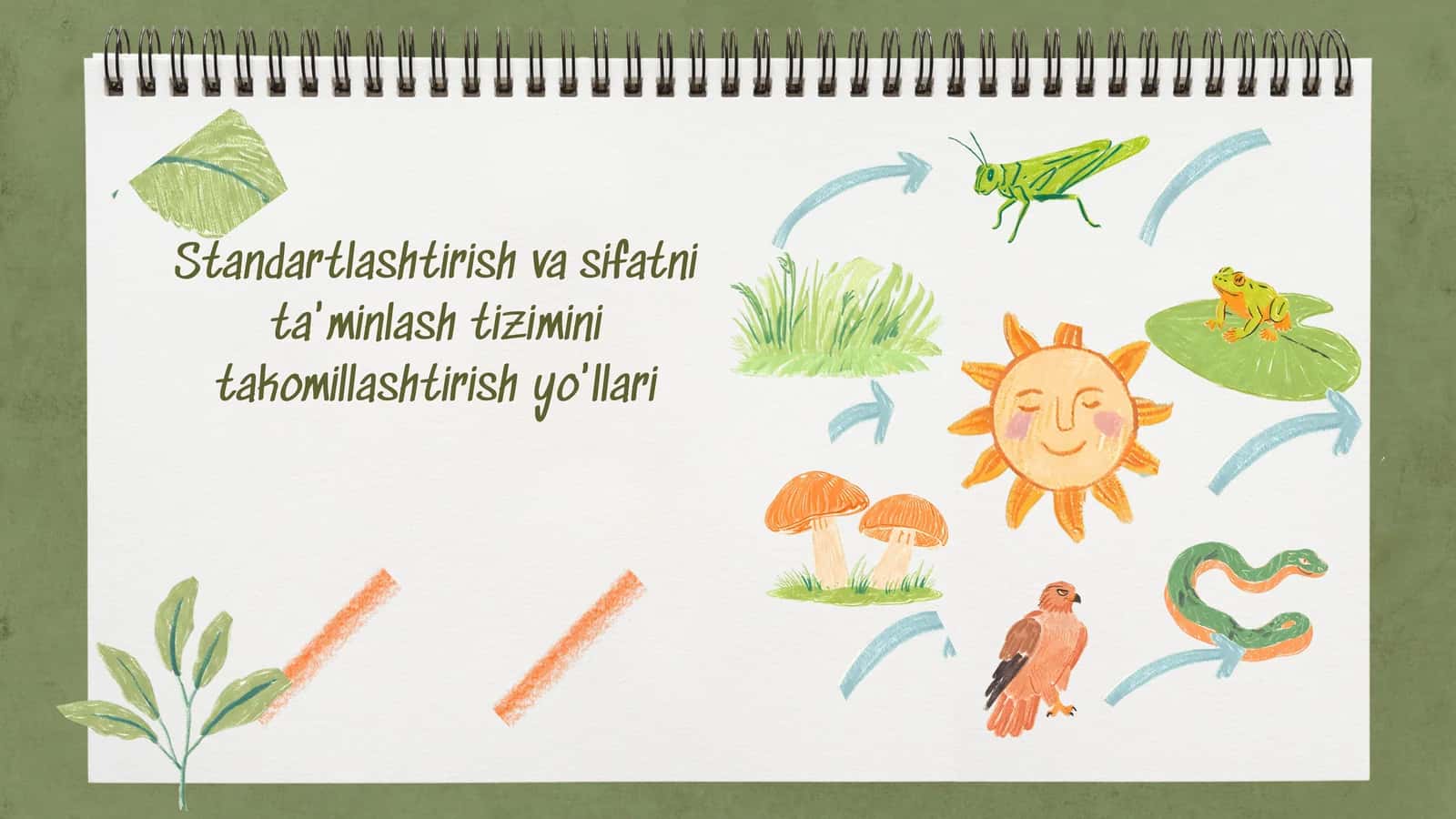 Standartlashtirish va sifatni ta'minlash yo'llari
