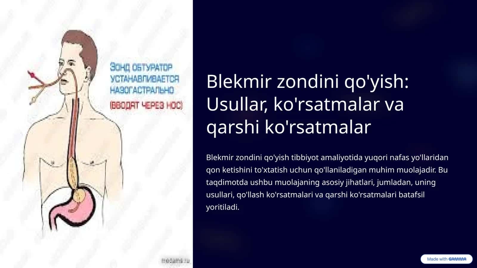 Blekmir zondini qo'yish: Usullar, ko'rsatmalar va qarshi ko'rsatmalar