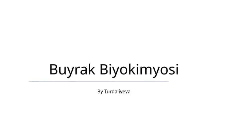 Buyrak Biyokimyosi
