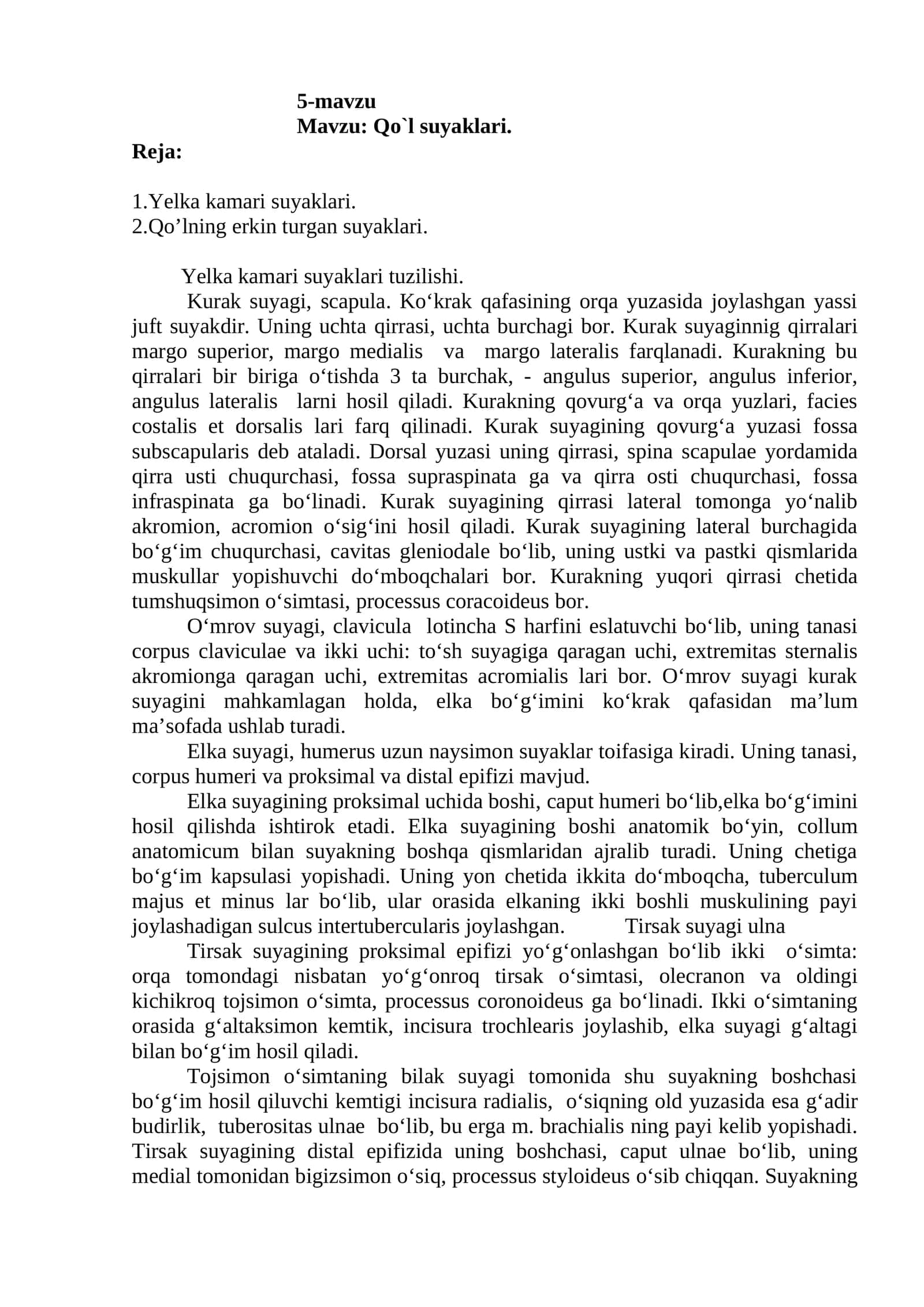 Yelka kamari suyaklari