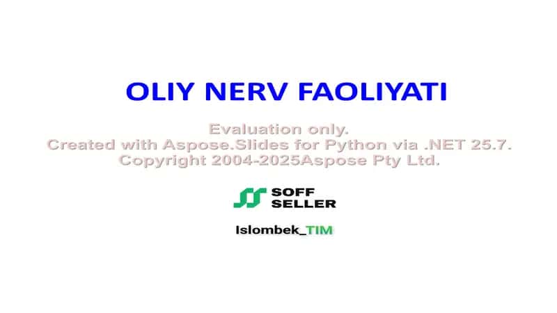 Oliy nerv faoliyati