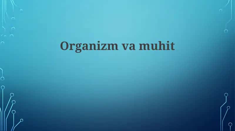 Organizmvamuhit