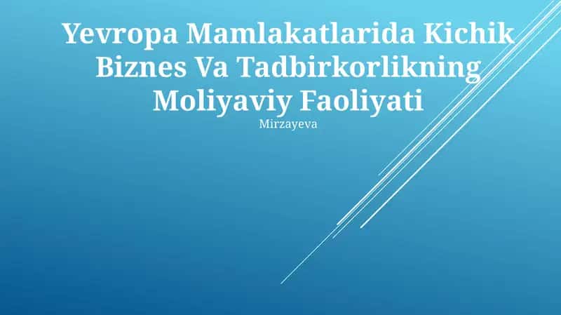 Yevropa Mamlakatlarida Kichik Biznes Va Tadbirkorlikning Moliyaviy Faoliyati
