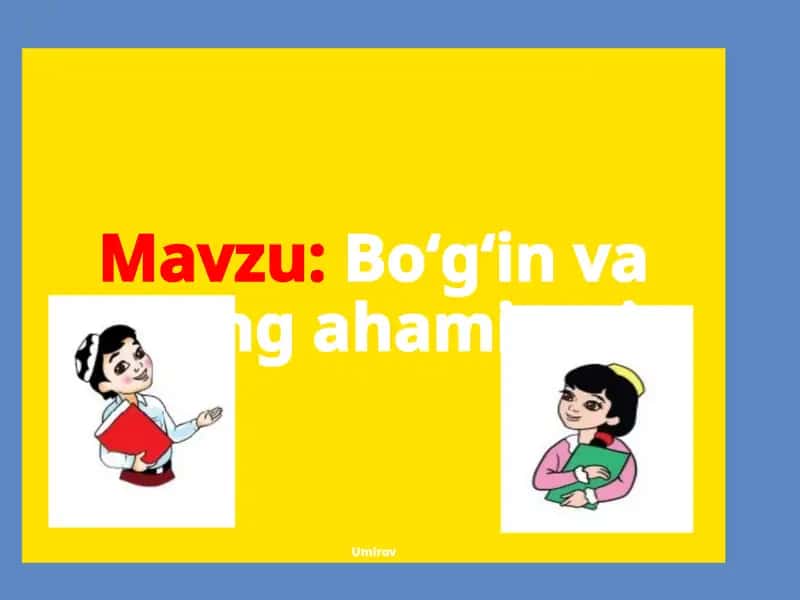 Bo‘g‘in va uning ahamiyati