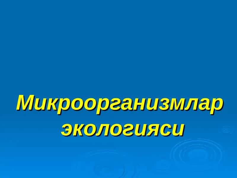 Микроорганизмлар экологияси