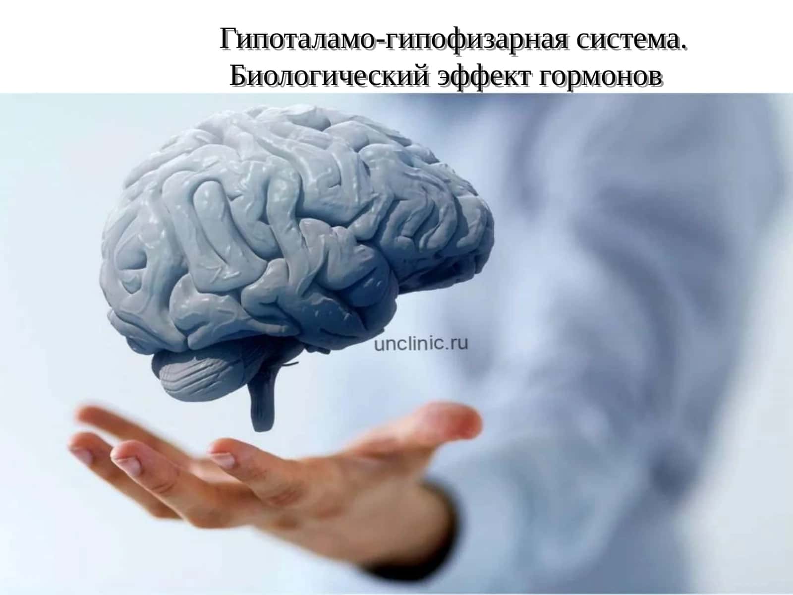 Гипоталамо-гипофизарная система. Биологический эффект гормонов