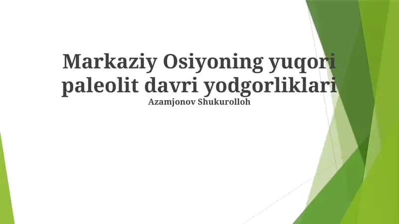 Markaziy Osiyoning yuqori paleolit davri yodgorliklari