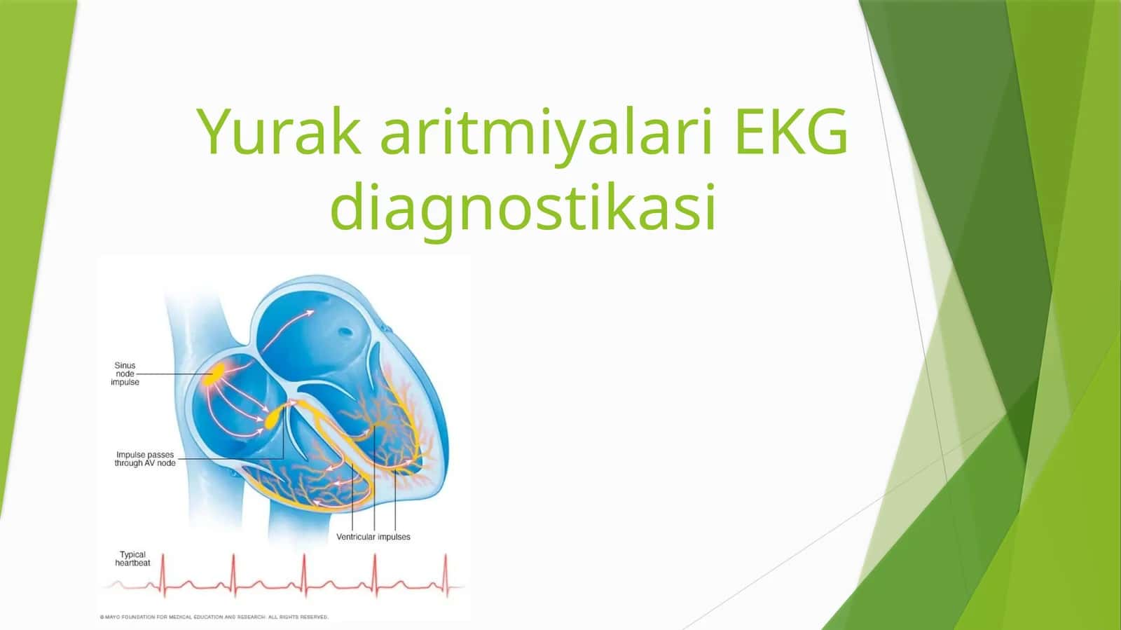 YurakaritmiyalariEKG diagnostikasi