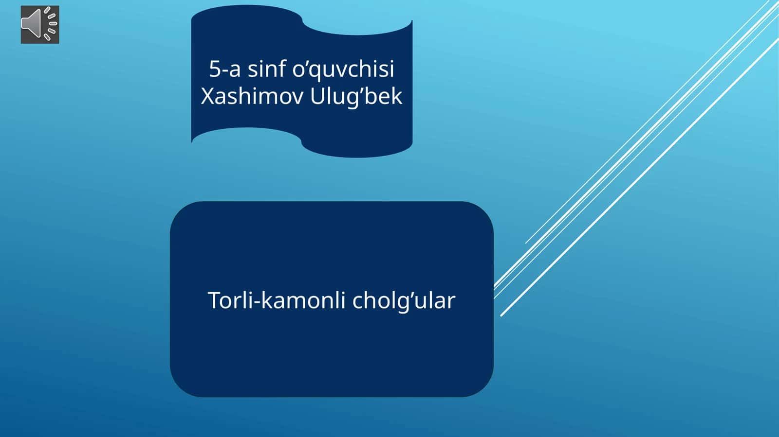 Torli-kamonli cholgʻular