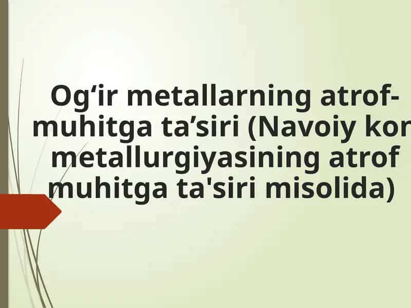Og‘ir metallarning atrof-muhitga ta’siri (Navoiy kon metallurgiyasining atrof muhitga ta'siri misolida)