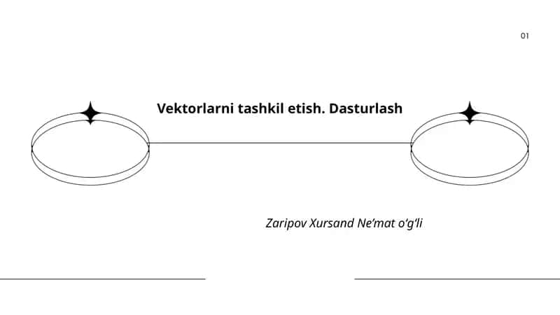 Vektorlarni tashkil etish. Dasturlash