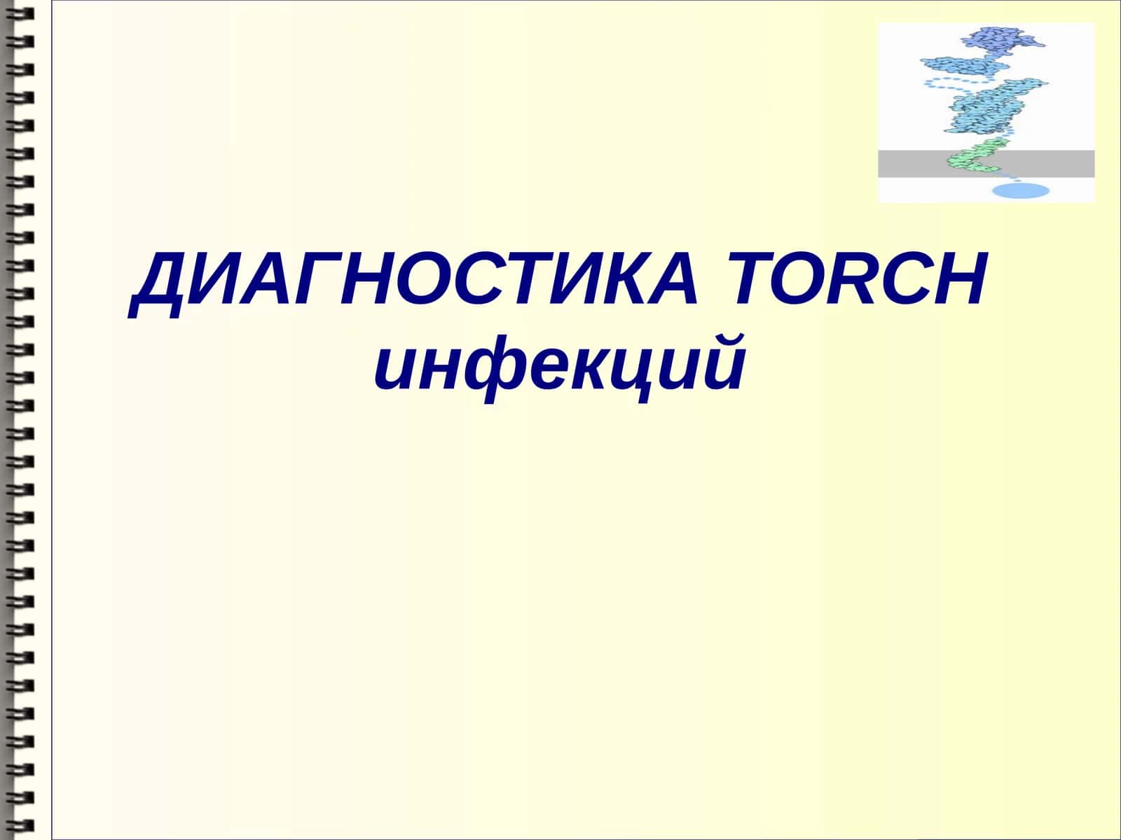 TORCH-инфекции