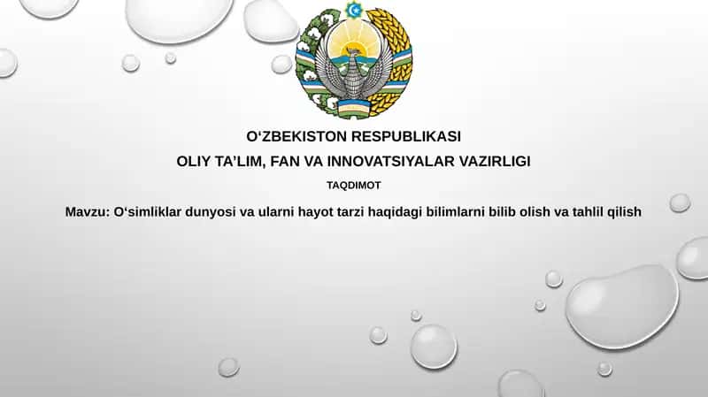 O'simliklarolami: tuzilishi, funksiyalari va ekologiyasi