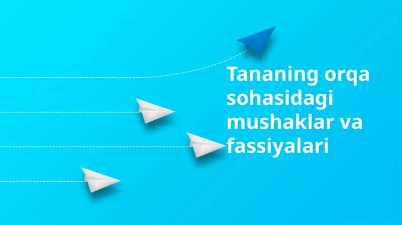 Tananing orqa sohasidagi mushaklar va fassiyalari