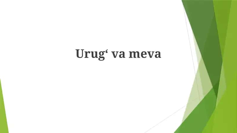 Urugʻvameva