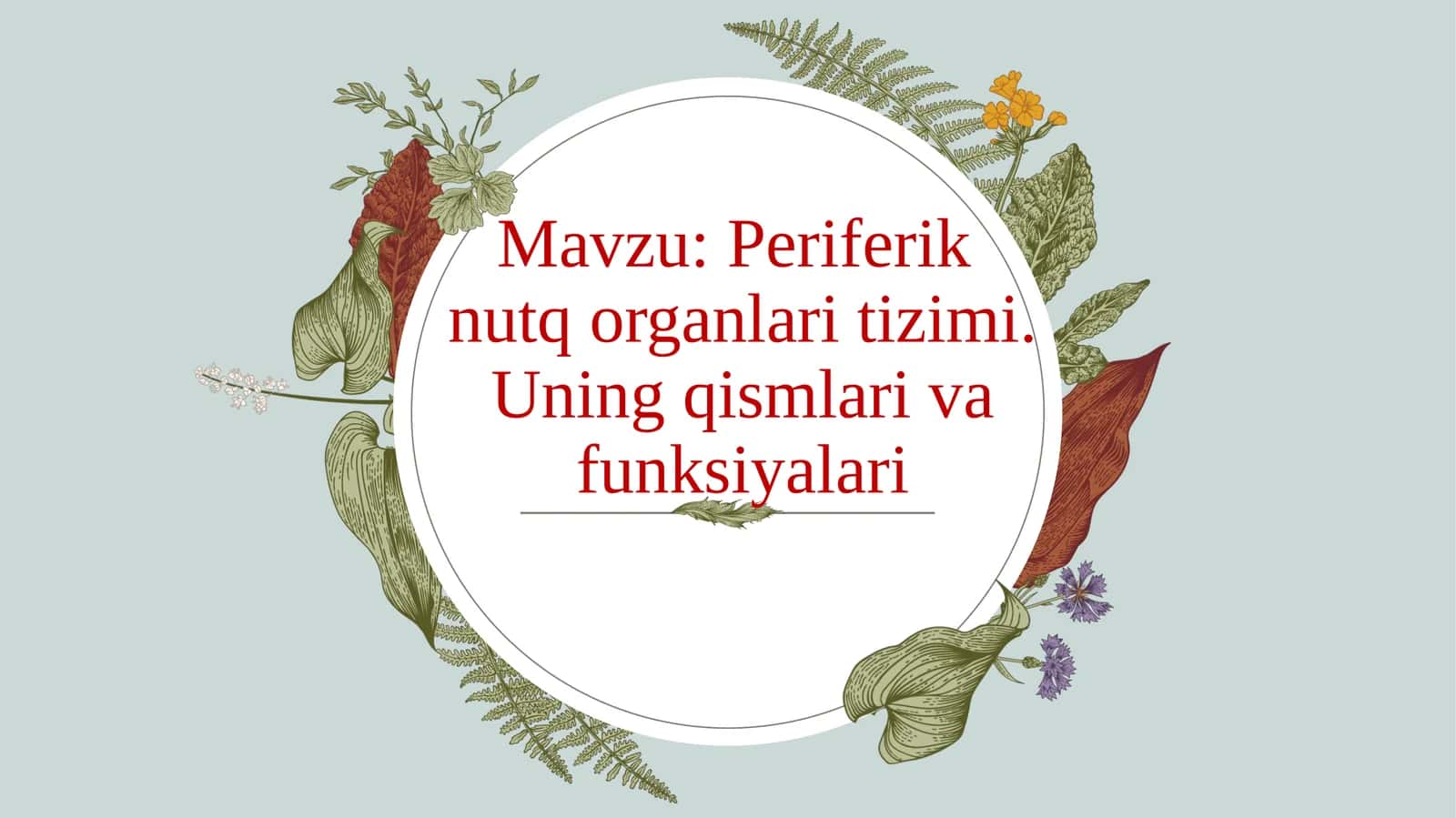 Periferik nutq organlari tizimi