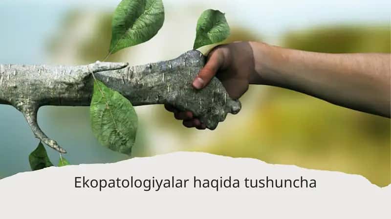 Ekopatologiyalar haqida tushuncha