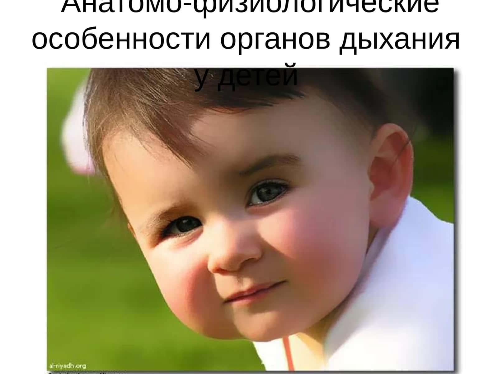 Анатомо-физиологические особенности органов дыхания у детей