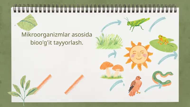 Mikroorganizmlar asosida bioo'g'it tayyorlash