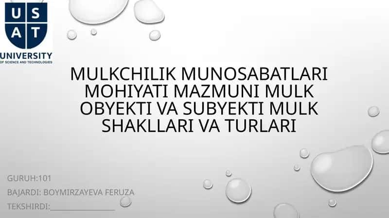 Mulkchilik munosabatlari