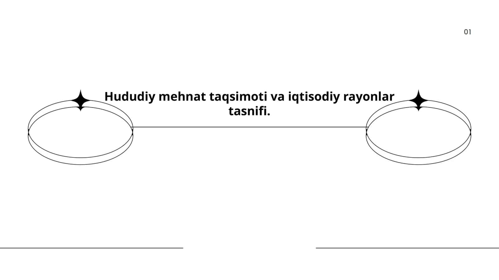 Hududiy mehnat taqsimoti va iqtisodiy rayonlar tasnifi