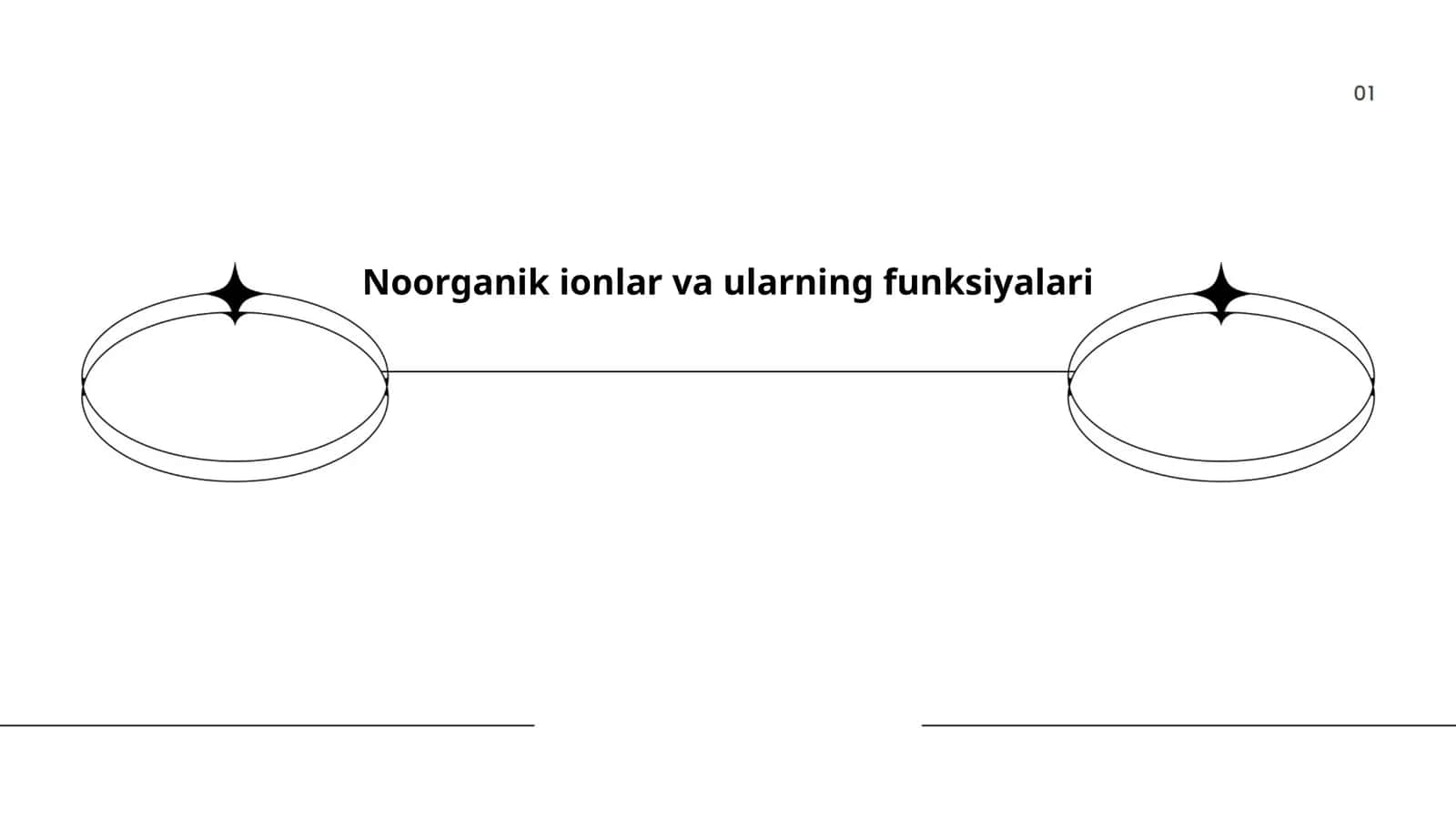 Noorganik ionlar va ularning funksiyalari