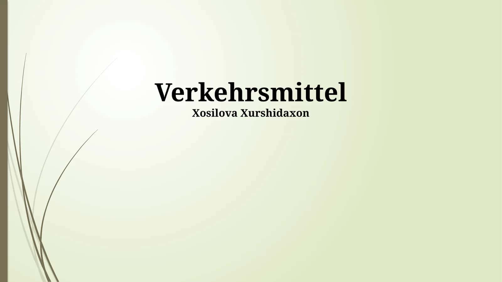 Verkehrsmittel
