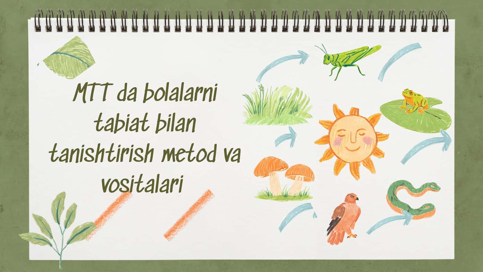 MTT da bolalarni tabiat bilan tanishtirish metodvavositalari