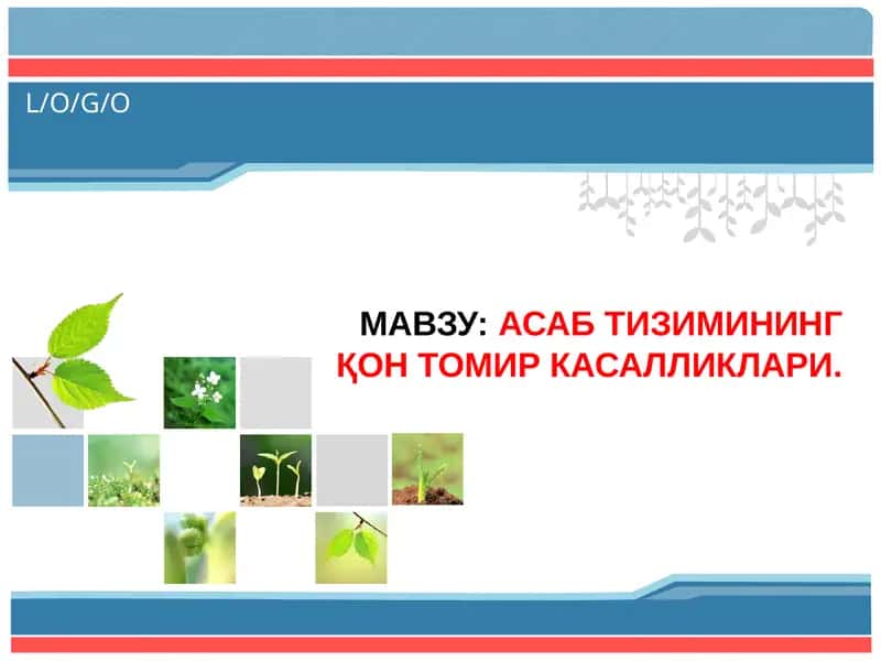 Асаб тизимининг қон томир касалликари