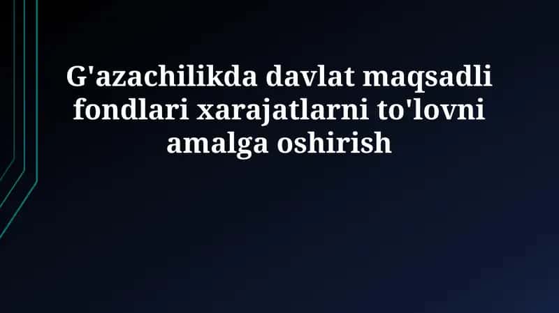 Davlat maqsadli fondlari
