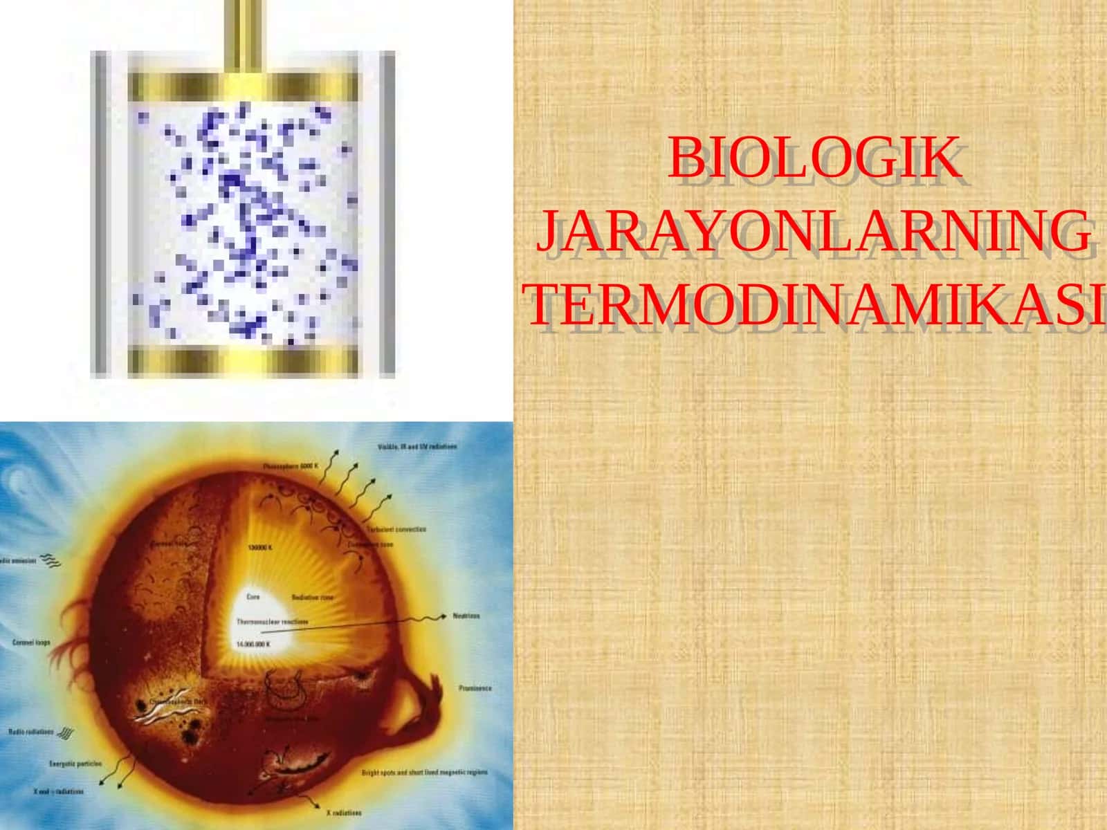 BIOLOGIK JARAYONLARNING TERMODINAMIKASI