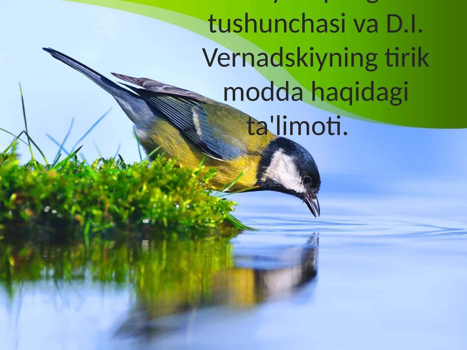 Hayot qobig'i tushunchasi va D.I. Vernadskiyning tirik modda haqidagi ta'limoti