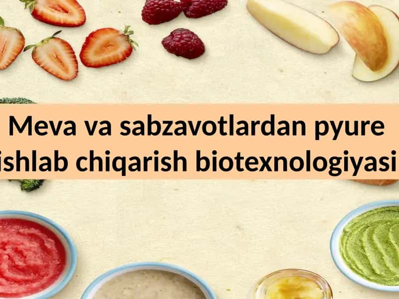 Meva va sabzavotlardan pyure ishlab chiqarish biotexnologiyasi