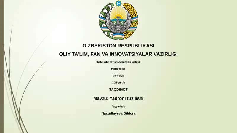 Yadroni tuzilishi