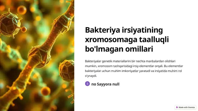 Bakteriya irsiyatining xromosomaga taalluqli bo'lmagan omillari