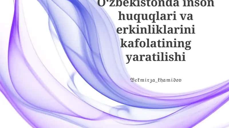 Oʻzbekistonda inson huquqlari va erkinliklarini kafolatining yaratilishi
