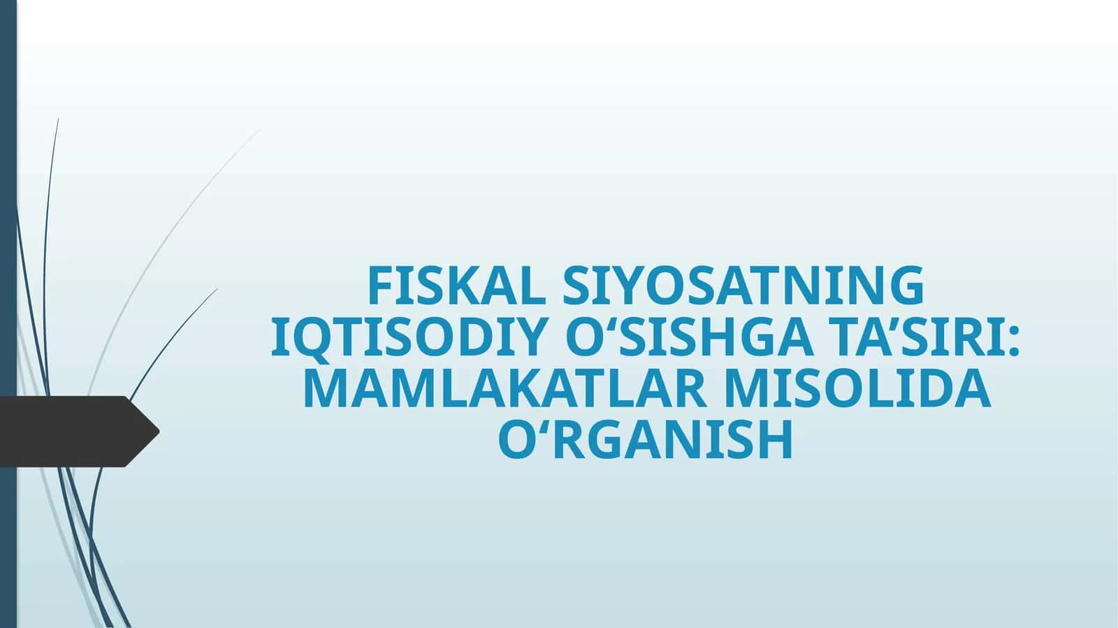 FISKAL SIYOSATNING IQTISODIY O‘SISHGA TA’SIRI: MAMLAKATLAR MISOLIDA O‘RGANISH