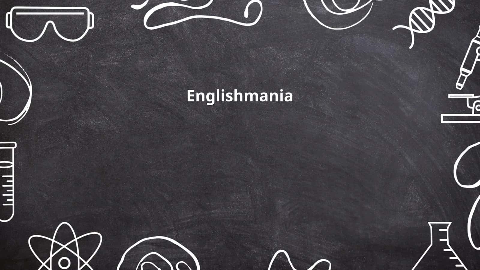 The Global Influence of the English Language