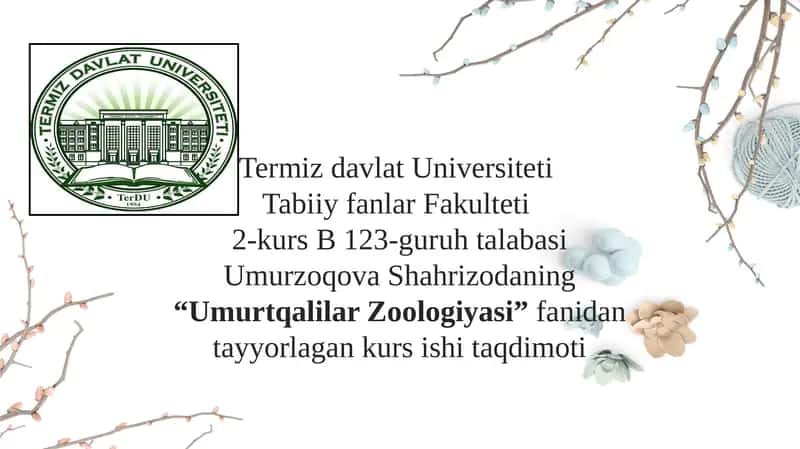 Umurtqalilar Zoologiyasi