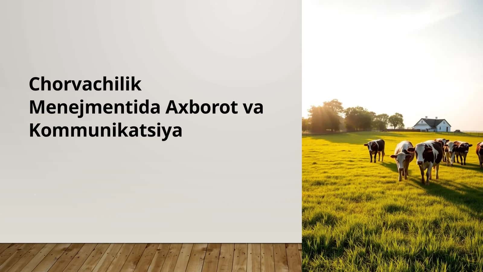 Chorvachilik Menejmentida Axborot va Kommunikatsiya