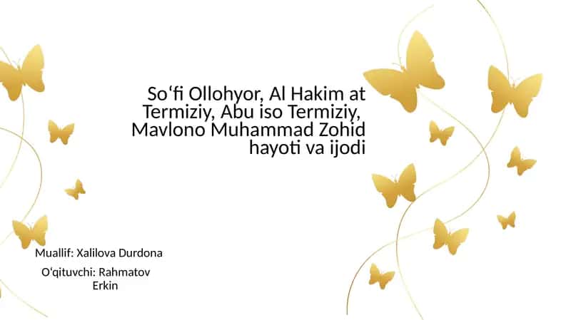 Soʻfi Ollohyor, Al Hakim at Termiziy, Abu Iso Termiziy va Mavlono Muhammad Zohid