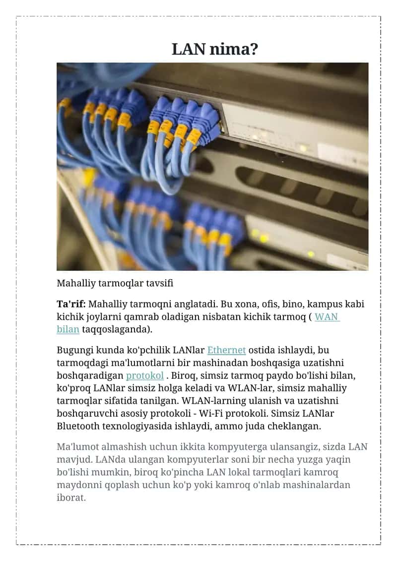 LAN nima?