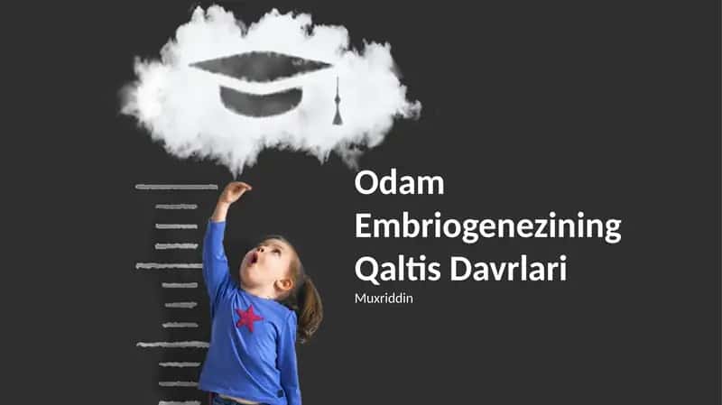 Odam Embriogenezining Qaltis Davrlari
