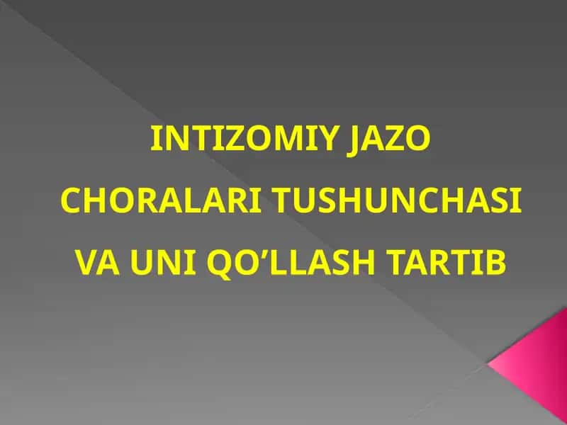 INTIZOMIY JAZO CHORALARI TUSHUNCHASI VA UNI QO’LLASH TARTIB