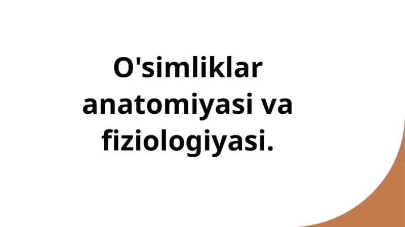 O'simliklar anatomiyasi va fiziologiyasi.