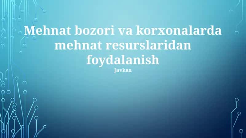 Mehnat bozori va korxonalarda mehnat resurslaridan foydalanish